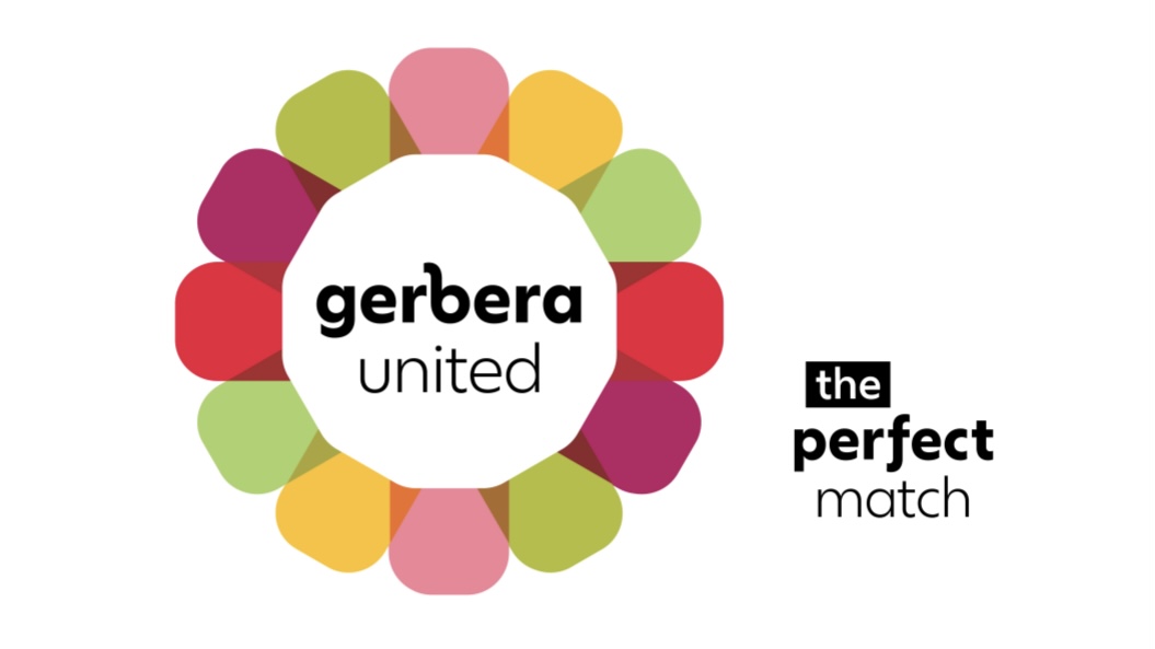 Gerbera United